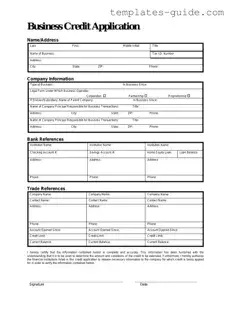 Fill Out a Valid Business Credit Application Template