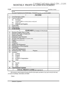 Fill Out a Valid Profit And Loss Template
