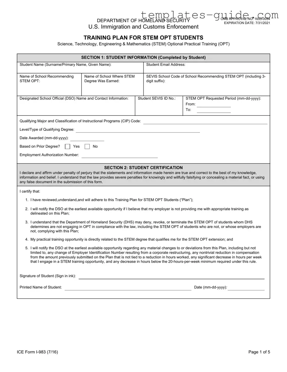 Fill Out a Valid ICE I-983 Template